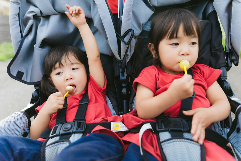 2人の子供がベビーカーに乗っている写真