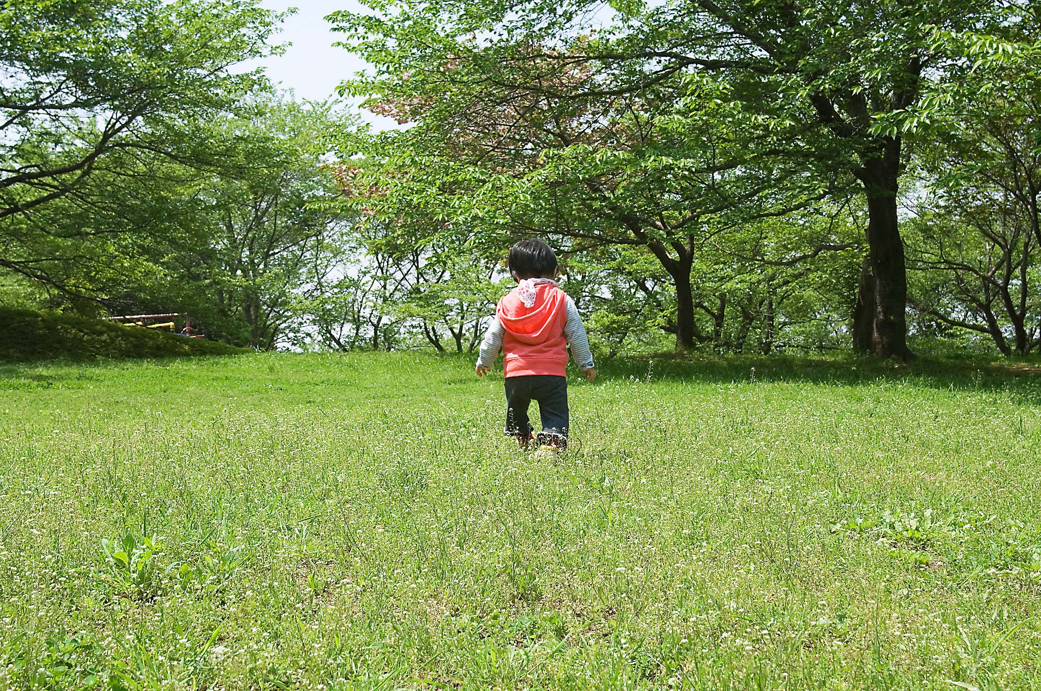 子供が草原で立っている写真
