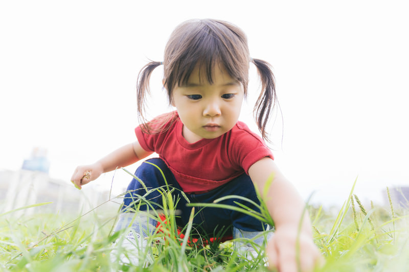 女の子が草むらで遊んでいる写真